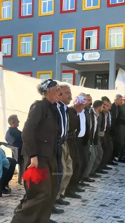 HALAY şablonu
