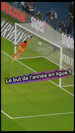 le but de l'année