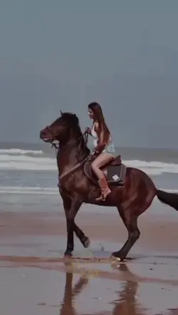 amazonas e cavalos