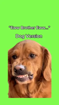 Eww Brother Eww Dog