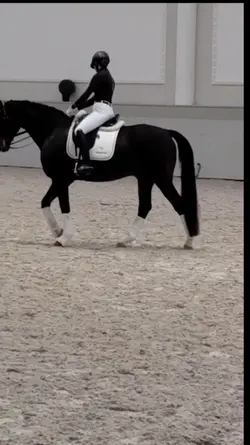 slowmo horse