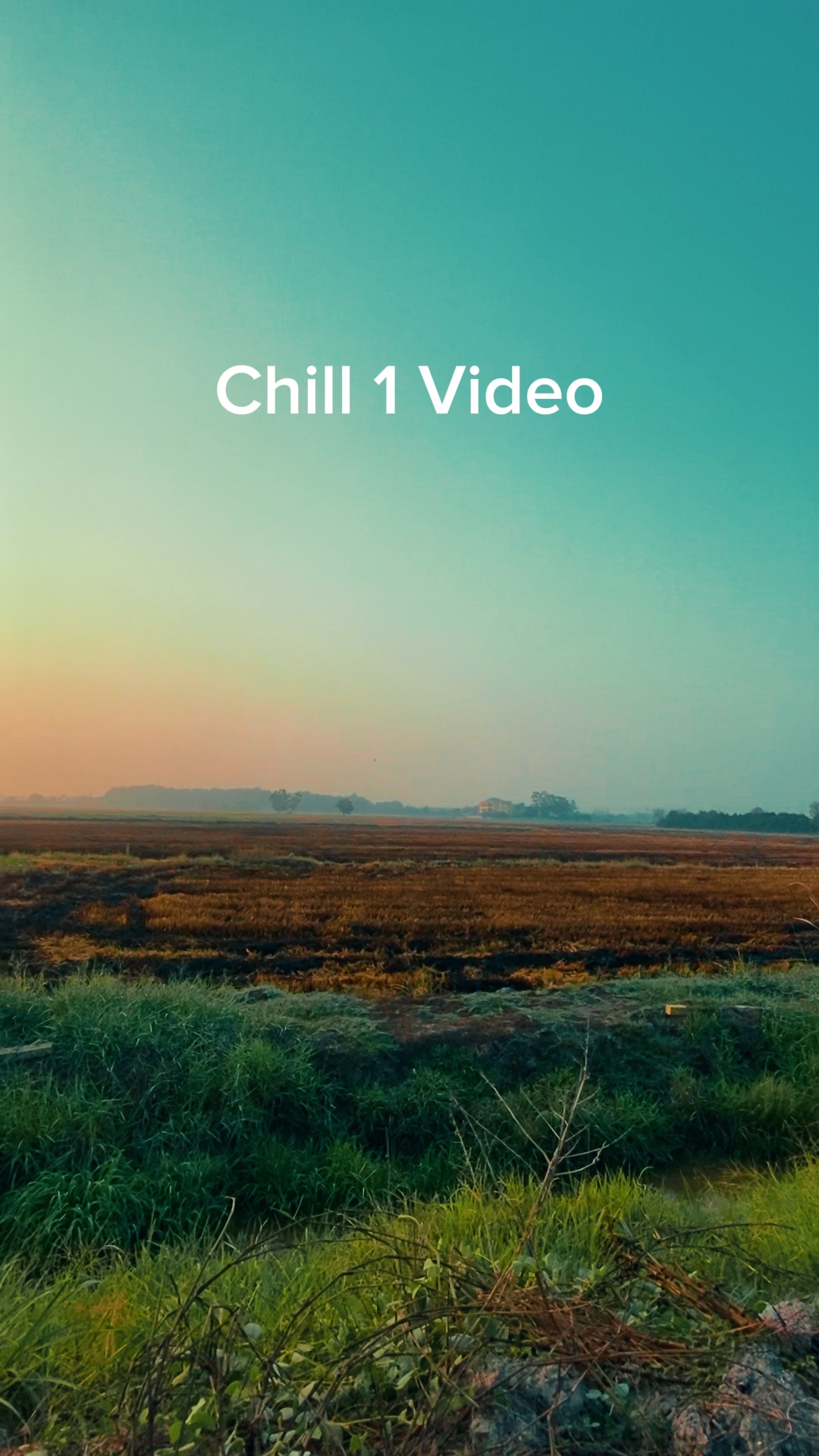 Chill 1 vidéo