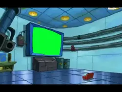 plankton watching