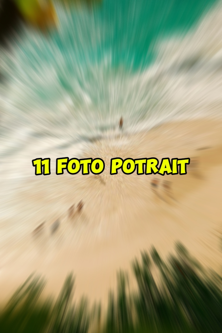 11 foto potre