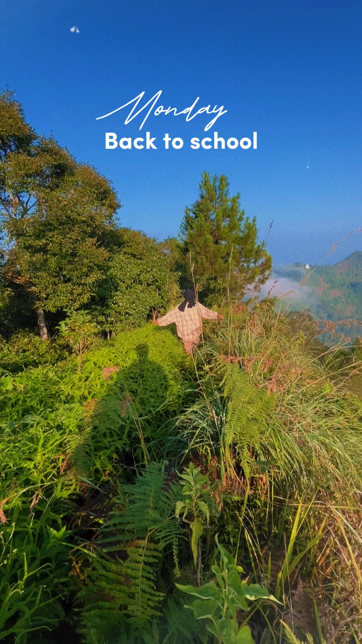 De vuelta a la escuela 
