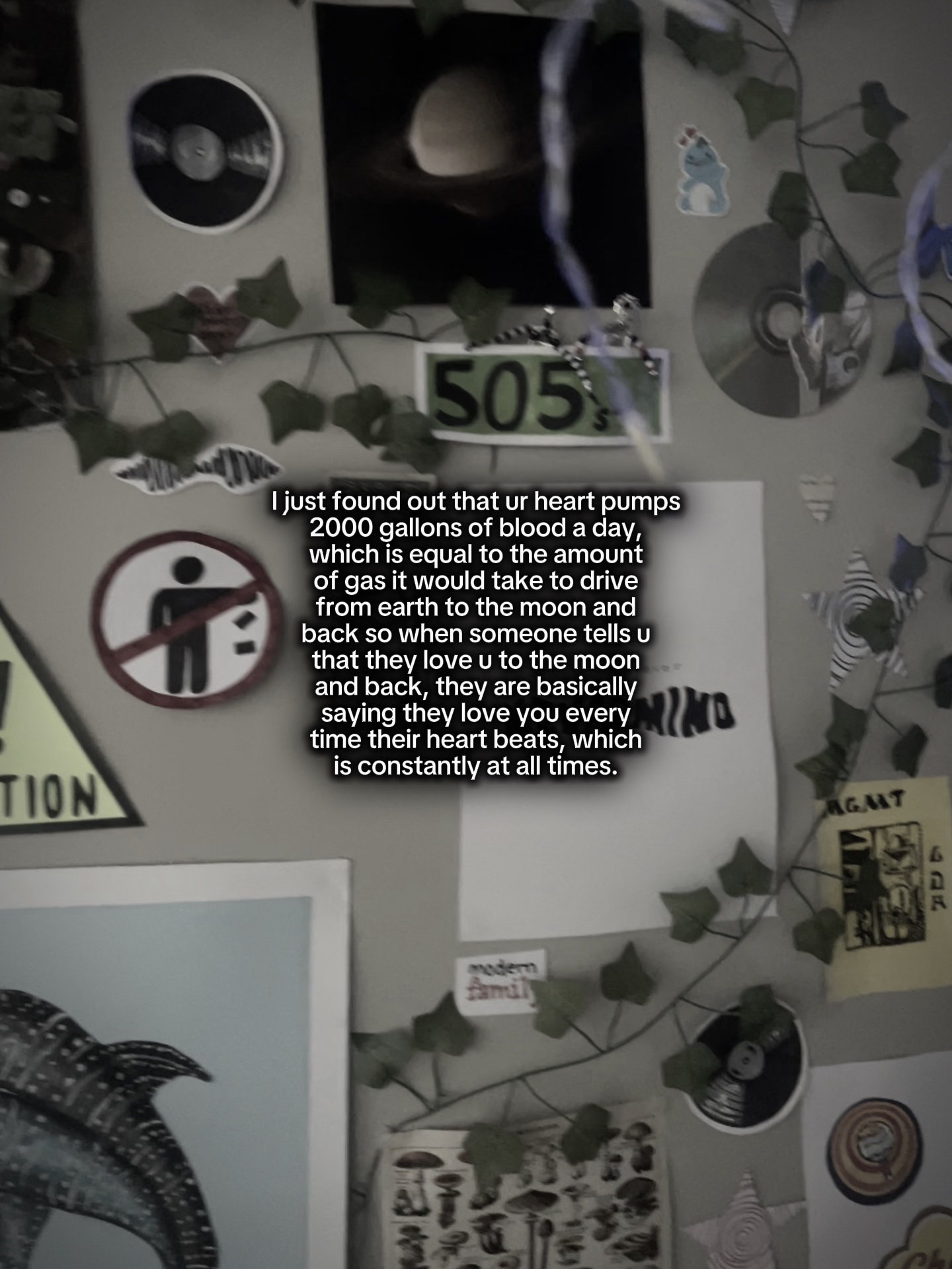 Fun fact! 