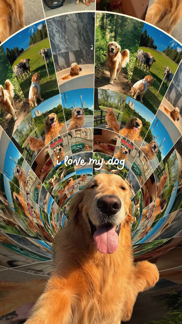 J'aime mon chien
