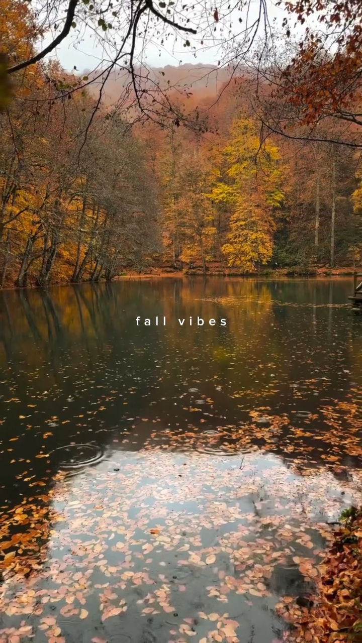 fall vibes 
