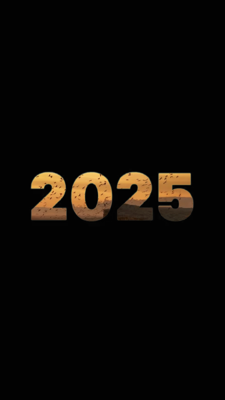 Resumen de 2025 