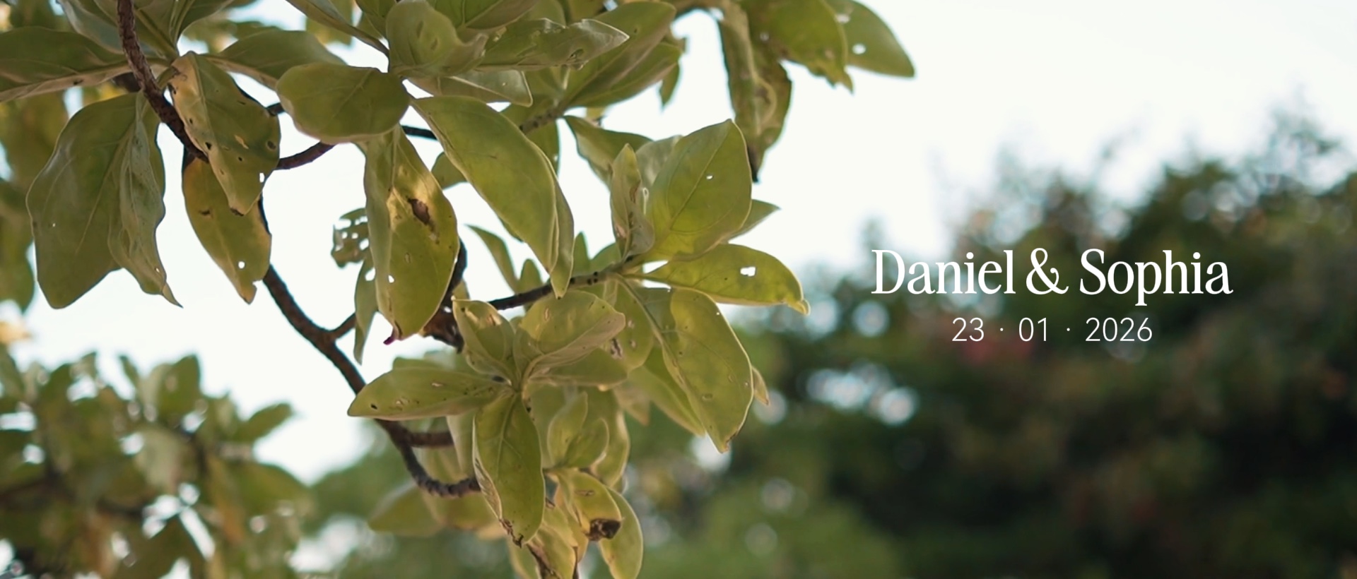 WEDDING VIDEOGRAPHY 