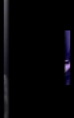 neew template