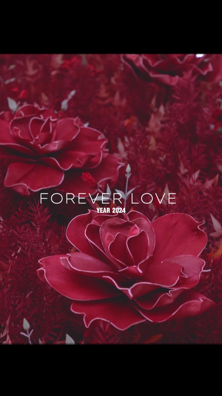 Wedding Teaser