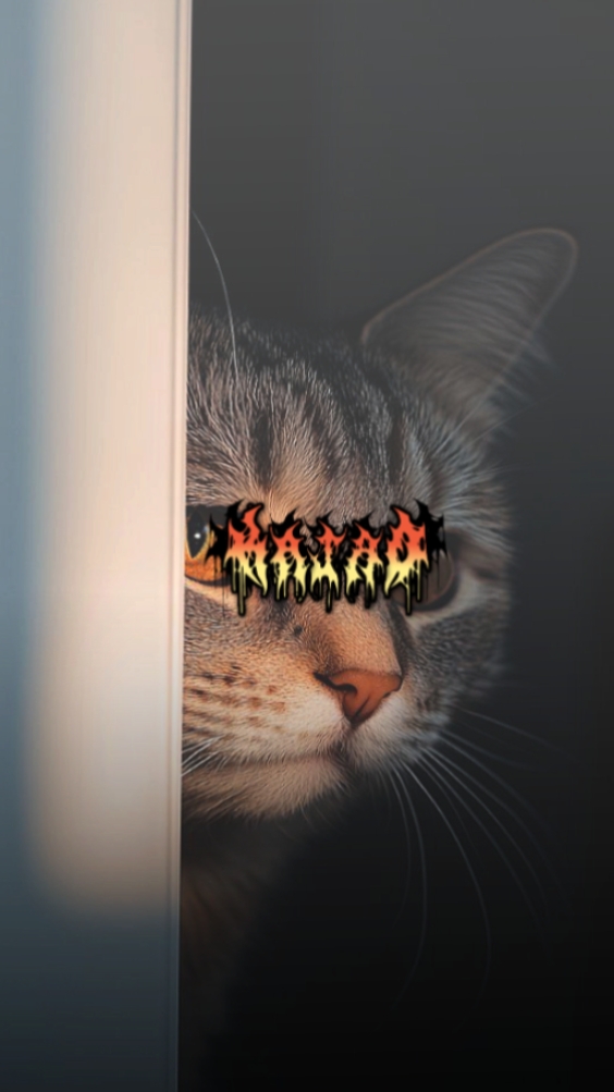 JJ Template