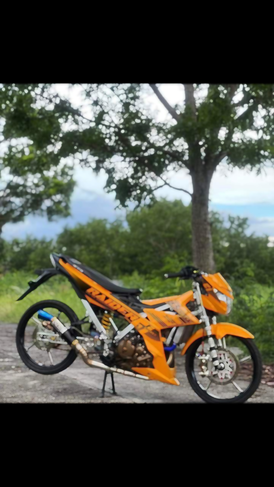 Montaje 