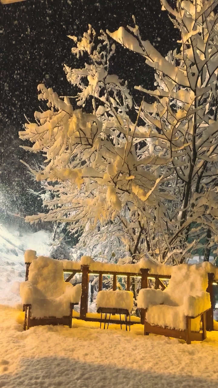 Estética da neve 