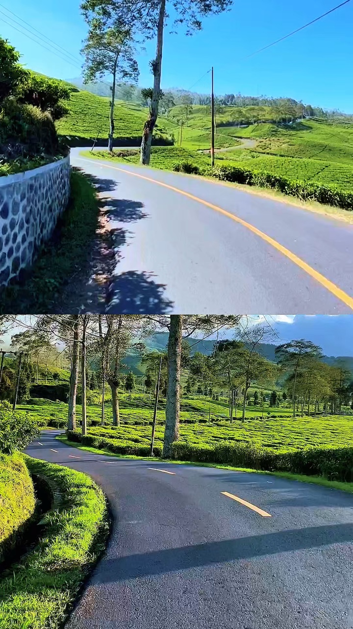 2 video 1 frame