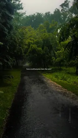 rain