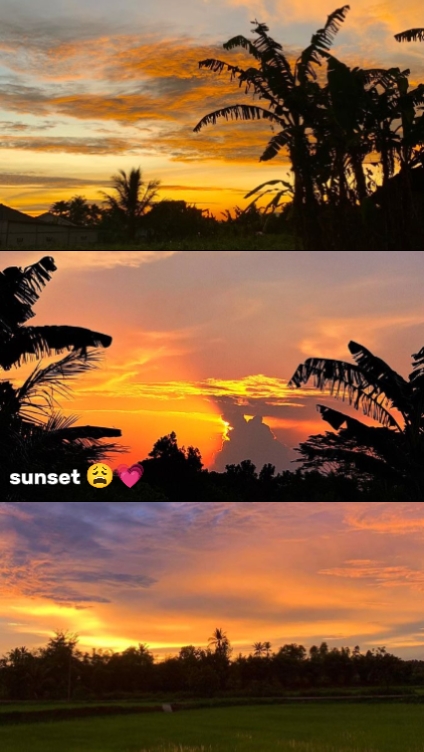 Terapia al atardecer