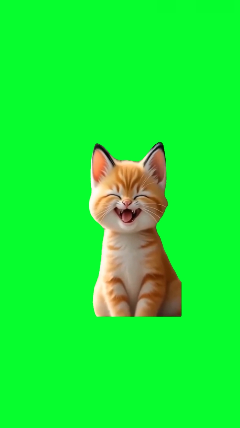 MUTLU KEDİ GÜLÜYOR