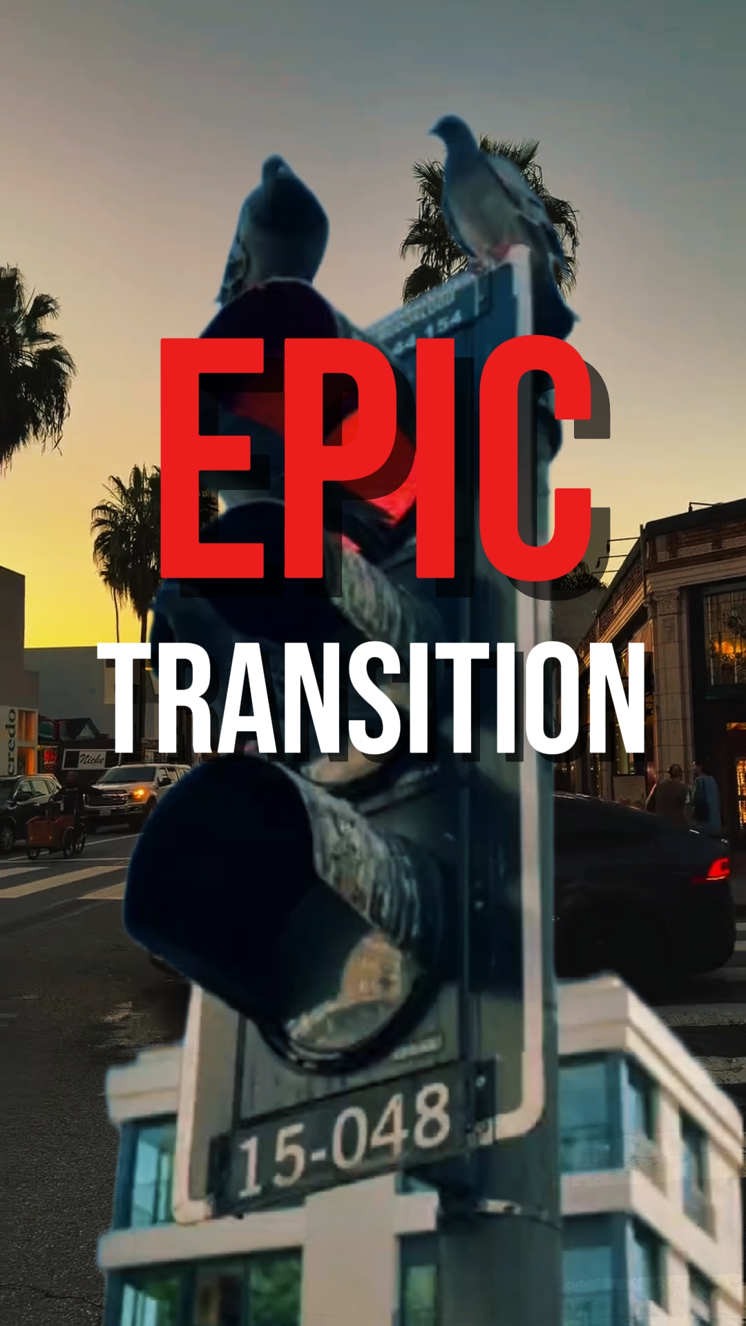 Epic transition