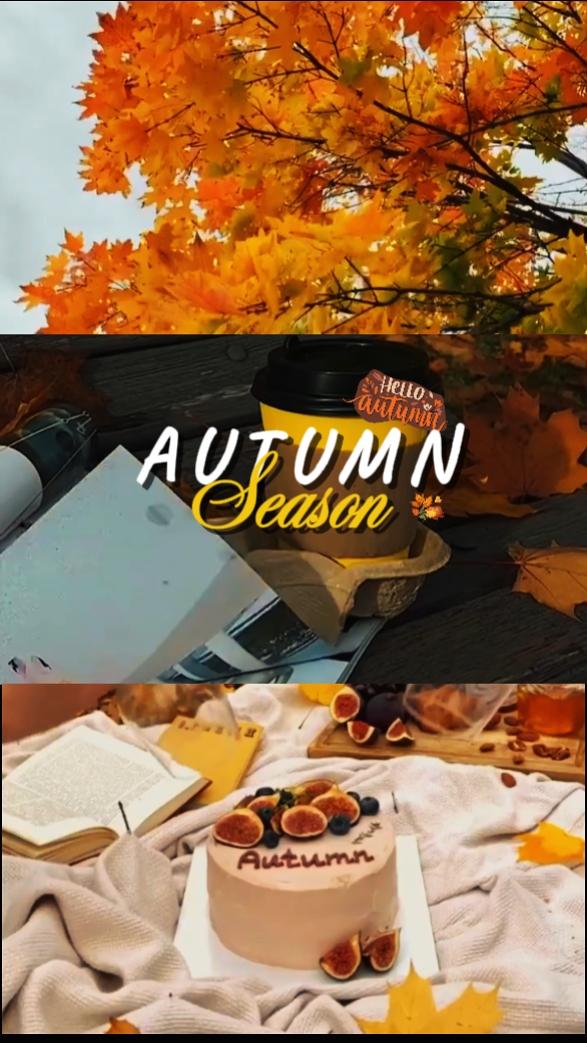 automne 