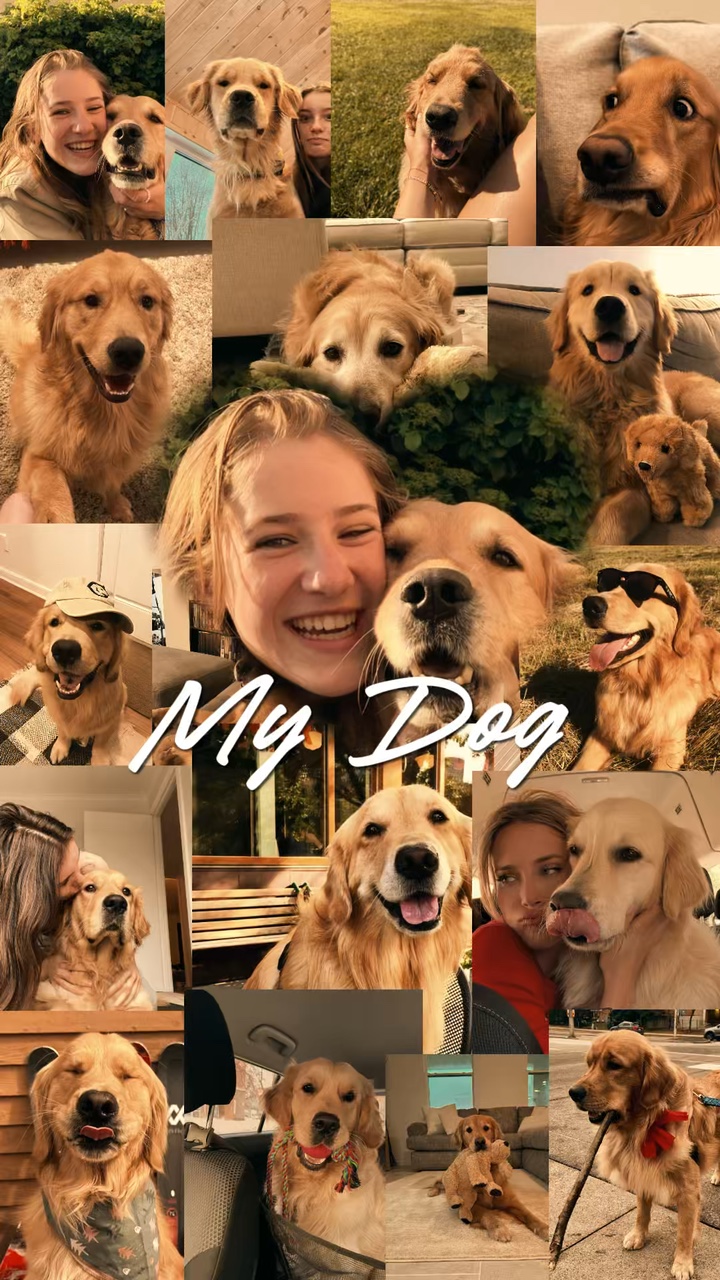 Mi Perro 