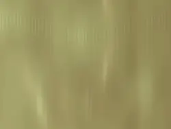 viral template us 