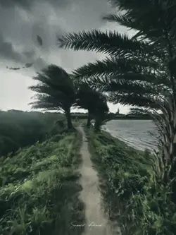 new slowmotion video