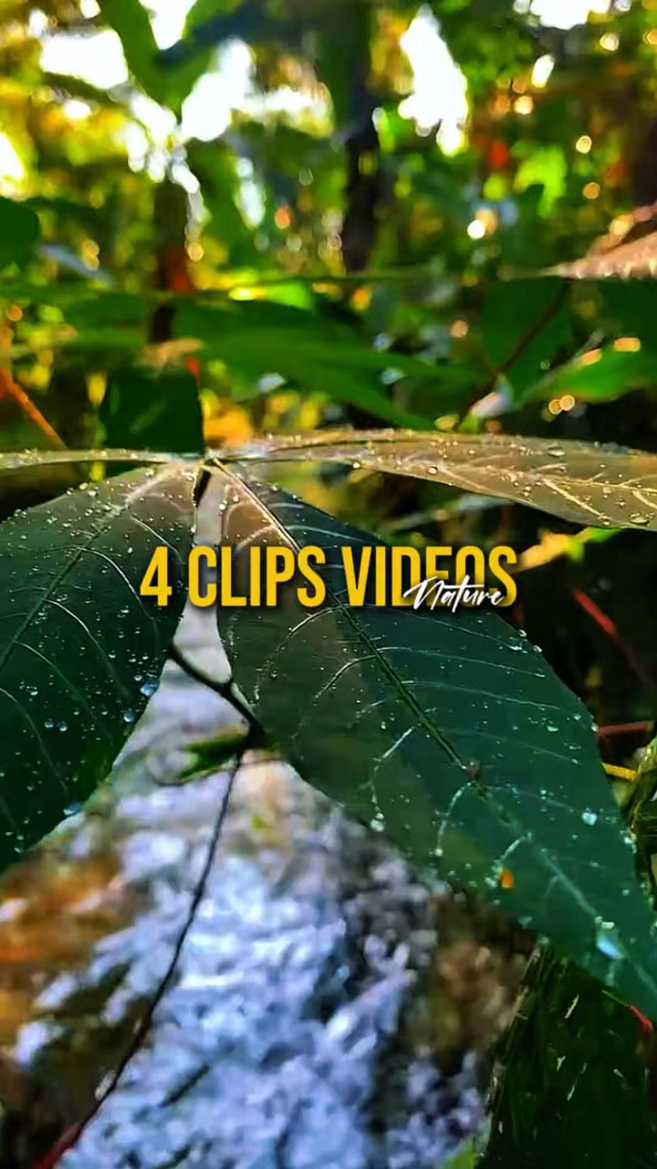 4 Videos Nature