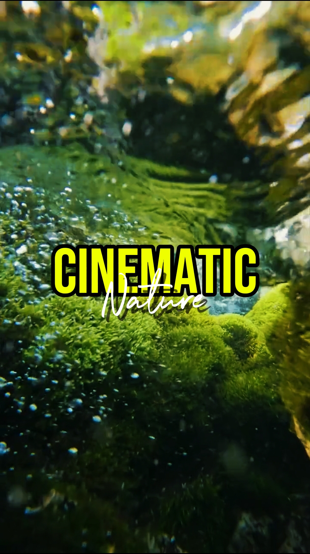 CINEMÁTICO