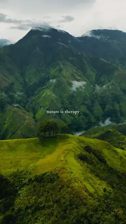 nature is therapy