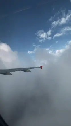Travel