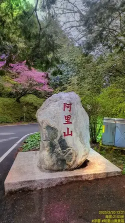 阿里山