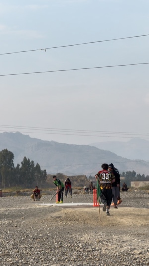 Plantilla de Cricket 
