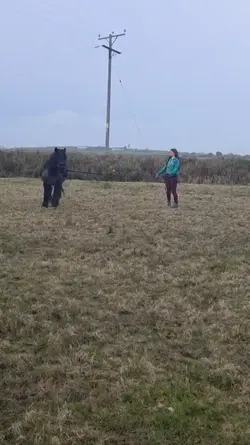 PASTURE