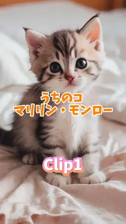 うちのコ マリリン・モンロー