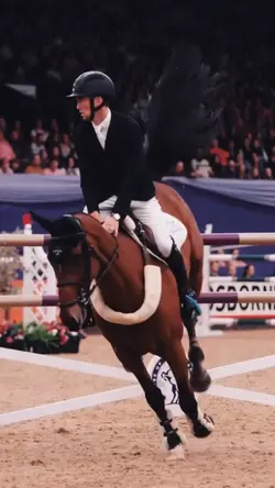 Showjumping 🤩 