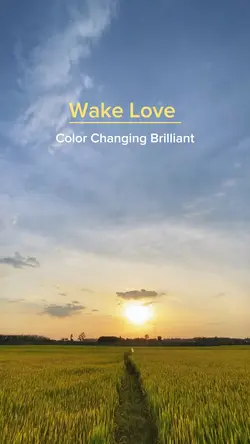 WAKE LOVE CHILL