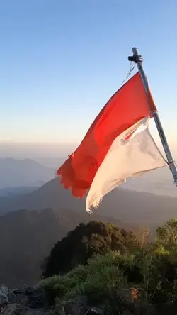 Daku ingin 
