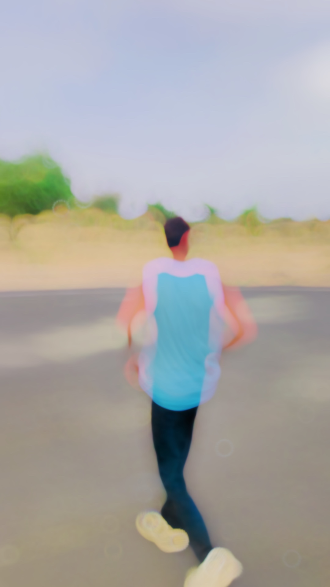 New Rajasthani edit