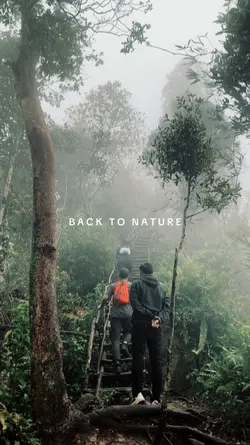 BACK TO NATURE