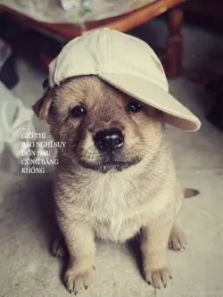MẪU LYRICS STORY MÀU