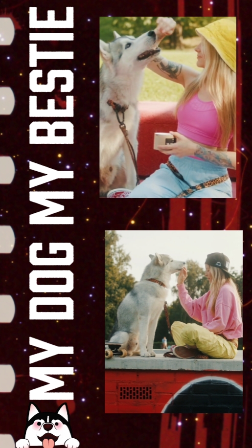 moments with pet