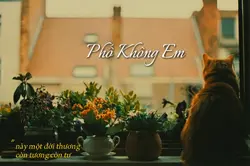 1 ảnh + màu