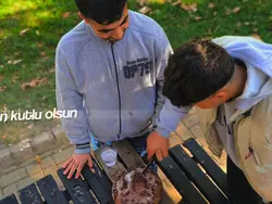 yeni şablon 