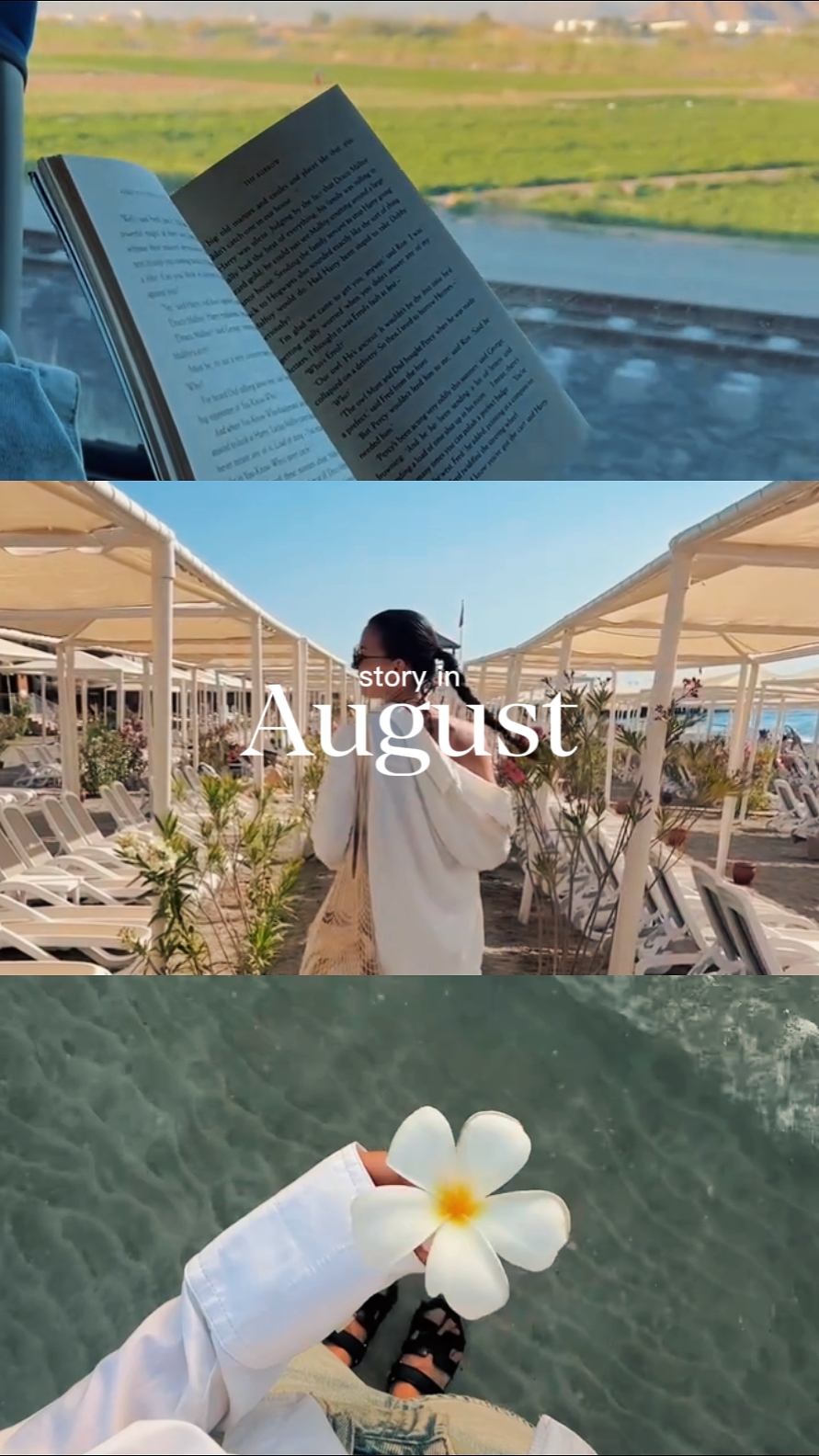 História de agosto 