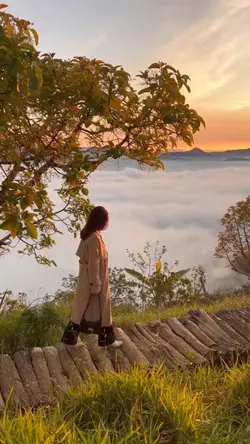 MẪU HQ
