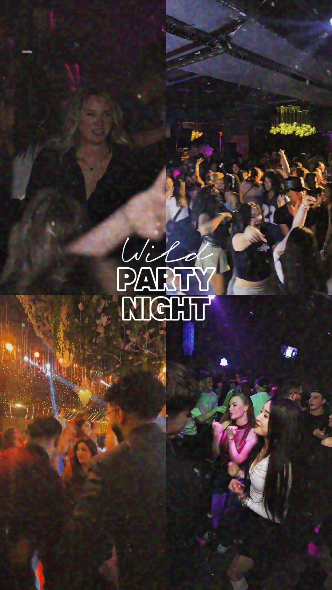 Noite de festa selvagem 