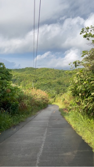 Nature Trip