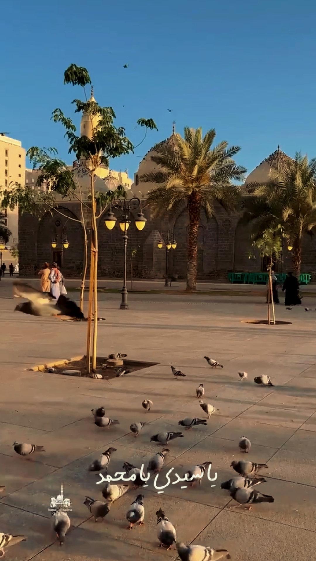 ARAB KINEMATIK
